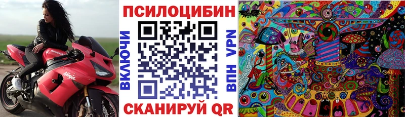 маркетплейс как зайти  Мариинский Посад  Галлюциногенные грибы Psilocybine cubensis 