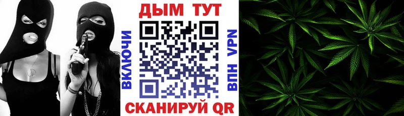 Шишки марихуана планчик  Мариинский Посад 